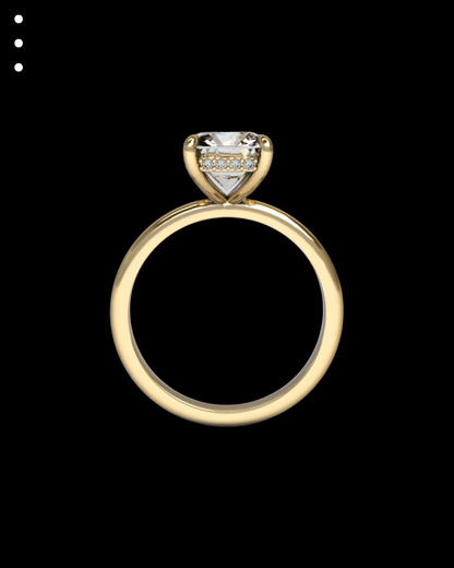 33° 11’04” Classic Cushion Hidden Halo Engagement Ring